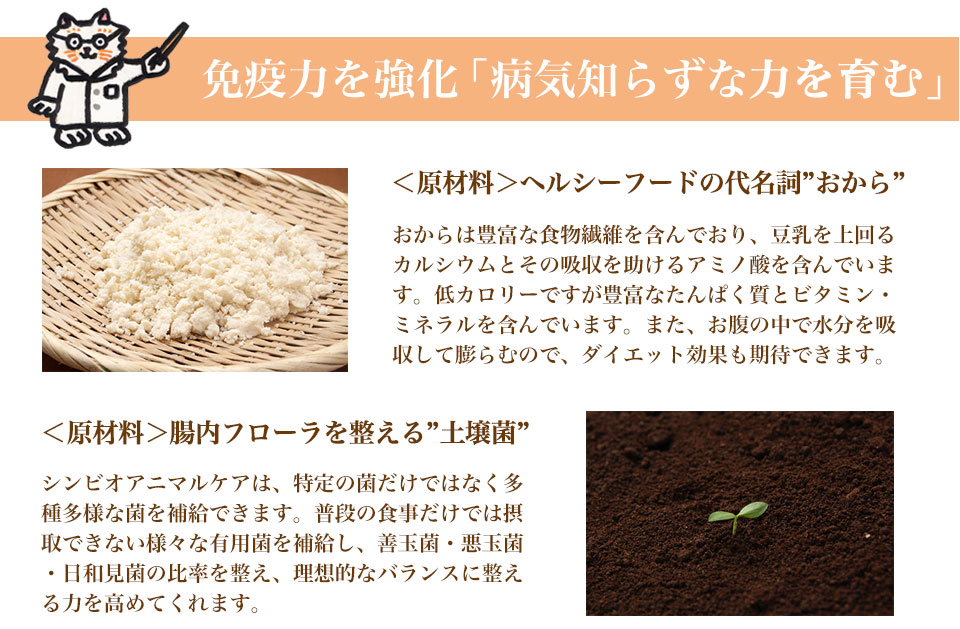 免疫力を強化「病気知らずな力を育む」