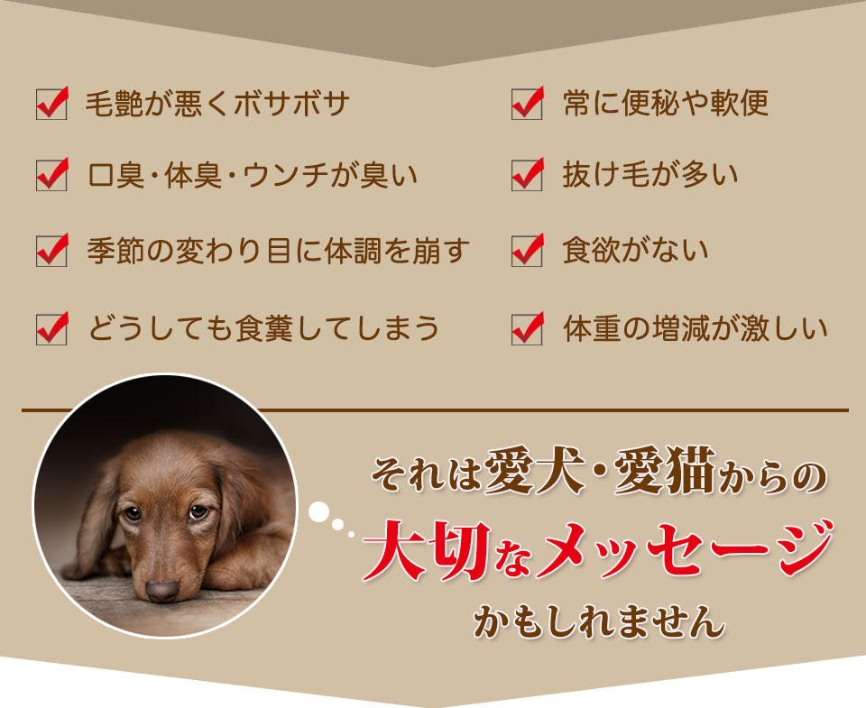 こんなお悩みありませんか？毛艶が悪い、口臭や体臭、うんちが臭い、体調をすぐ崩す、食糞してしまう、便秘や軟便、食欲不振、抜け毛が多い、体重の増減が激しい