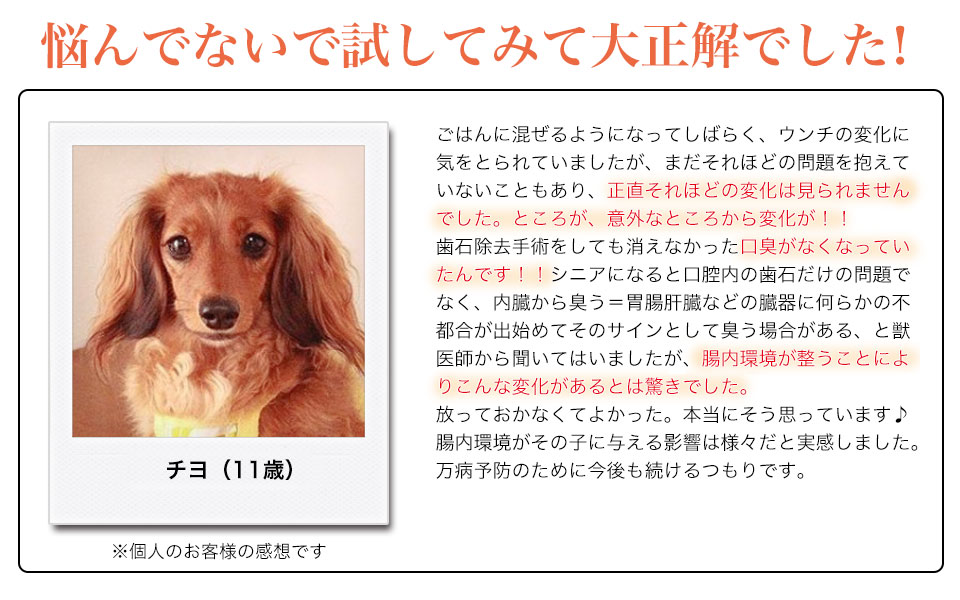 チヨ：悩まないで試して大正解でした！最初はそれほどの変化は感じられませんでしたが、続けていると口臭がなくなっていたんです！腸内環境の変化が整うことによりこんな変化があるとは驚きでした