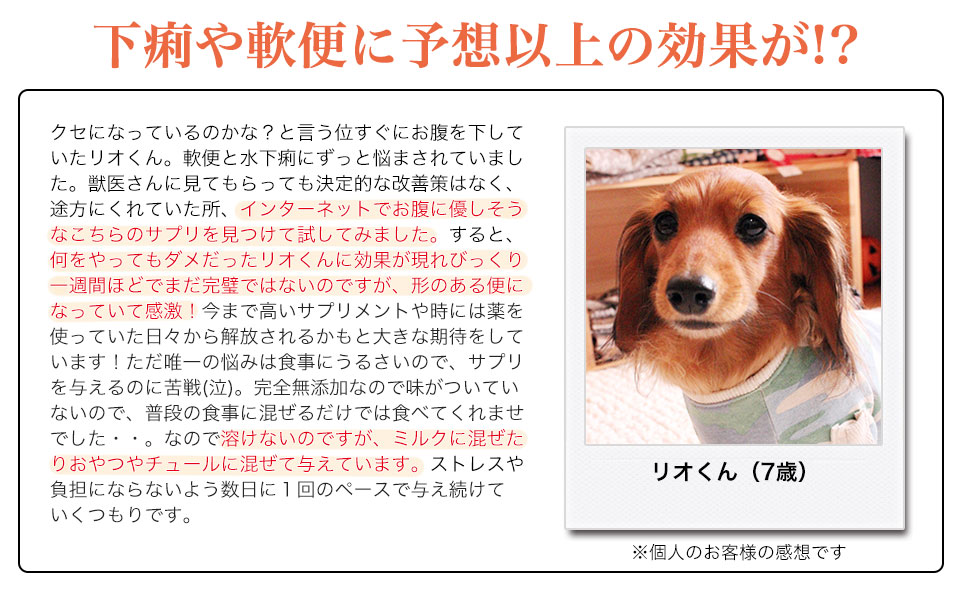 リオくんのレビュー：軟便と下痢にずっと悩まされていましたが、無添加の胃腸に優しそうなサプリのシンビオアニマルケアを試してみました。何をしてもダメだったリオくんに効果が現れ驚きました
