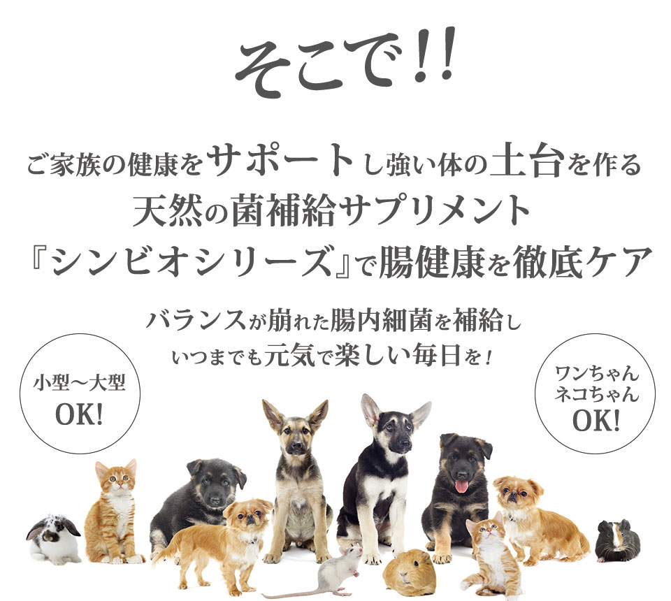 天然の菌補給サプリメントのシンビオアニマルケア